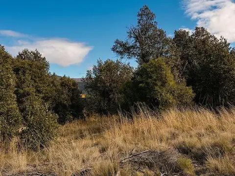 FINA PATAGONIA. Lote en venta de 970m2 ubicado en San Martin de los Andes