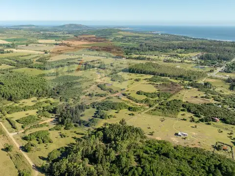 Chacra en venta Las Flores - Lanzamiento