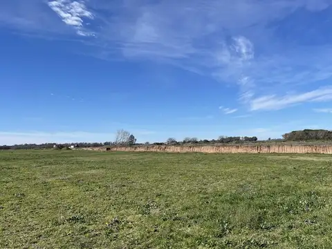 Ruta 6 km 142 Villa de Camo Tres Pinos