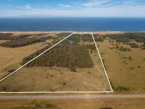 Campo en Venta de 40  ha