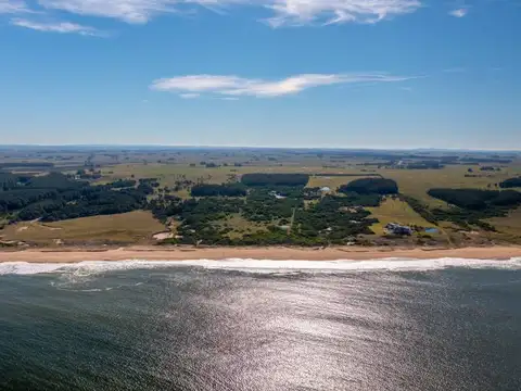 Chacra de 40 has. con costa 100