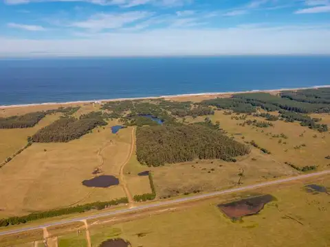Chacra en José Ignacio con 240 mts. de costa