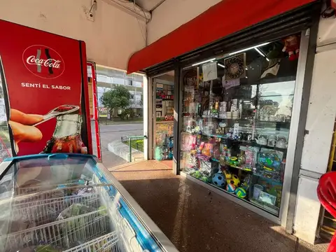 Camino Carrasco 4600