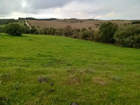 Venta campo en San Carlos por Camino Paso La Cantera, Uruguay