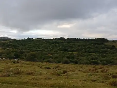 Venta campo en San Carlos por Camino Paso La Cantera, Uruguay