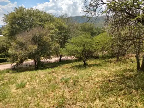 Terreno en Venta de 1351,0 m2