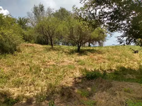 Arco Iris 100