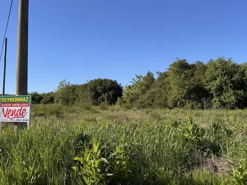 Terreno en Venta 28  mts Fondo