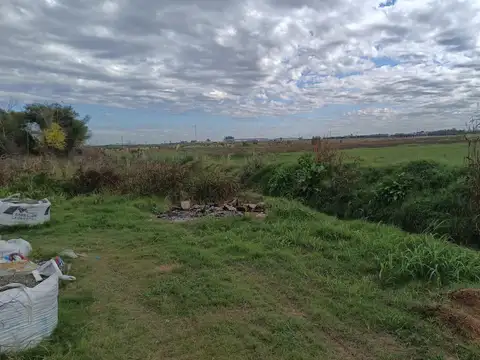 Terreno en Venta en Saavedra  - Zárate, USD 50.000