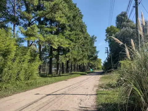 Lote en venta en INGENIERO MASCHWITZ