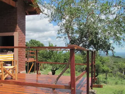 Camino Damiana Vega 100