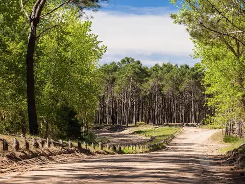 Terreno en Venta de 871,0 m2