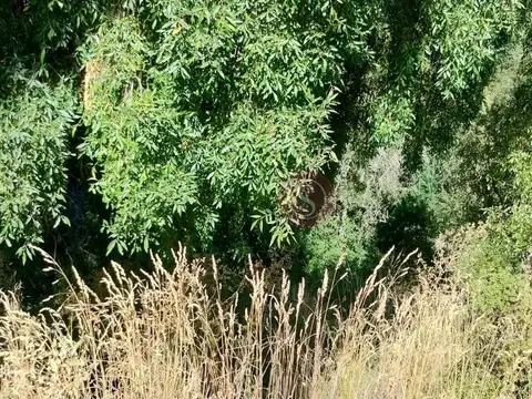 Terreno en Venta de 2922,0 m2