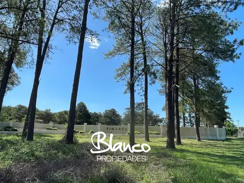 Terreno Lote  en Venta en Pinares CC, Exaltación de la Cruz, G.B.A. Zona Norte