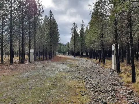 Campo en  Lago Puelo