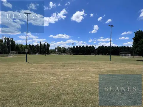 Terreno en Venta 41  mts Fondo