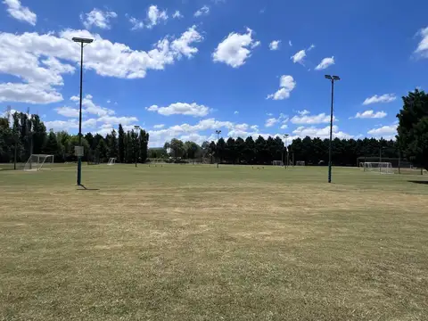 Terreno en Venta 41  mts Fondo