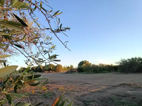 Terreno en Venta 25  mts Fondo