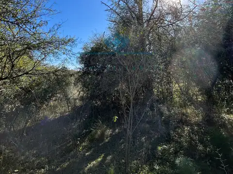 Terreno en Venta de 2500,0 m2