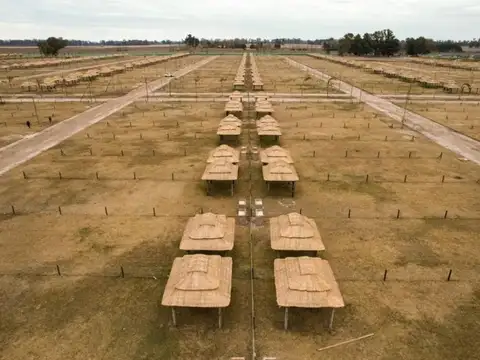 Terreno en Venta en General Rodriguez, USD 14.500