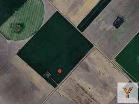 Campo en venta - 10.98 Hectáreas - Rojas