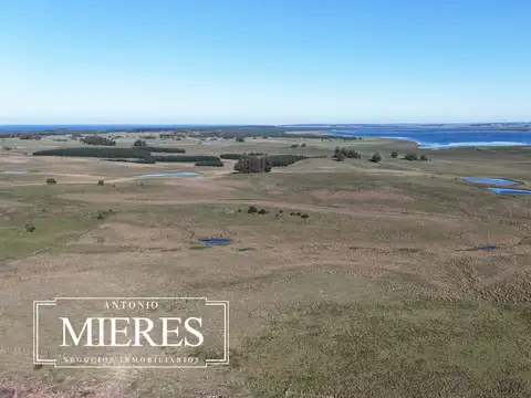 Campo en venta de 24 ha en ruta 10 las Garzas Rocha Uruguay
