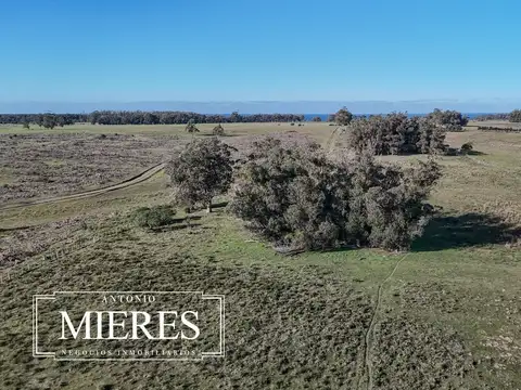 Campo en venta de 24 ha en ruta 10 las Garzas Rocha Uruguay