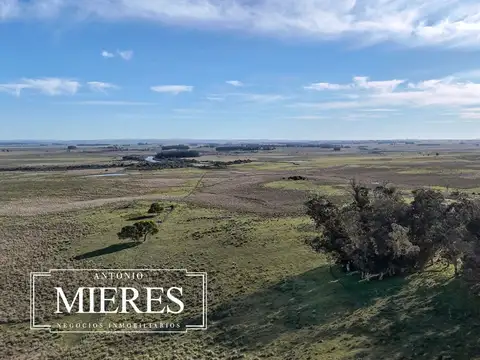 Campo en venta de 24 ha en ruta 10 las Garzas Rocha Uruguay