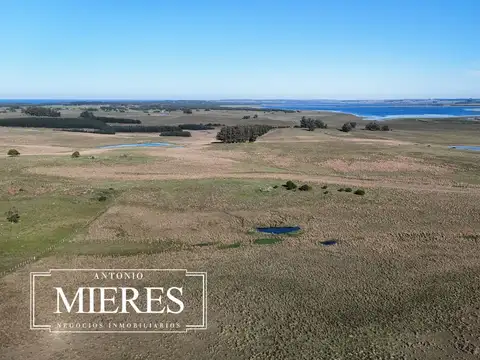 Campo en venta de 24 ha en ruta 10 las Garzas Rocha Uruguay
