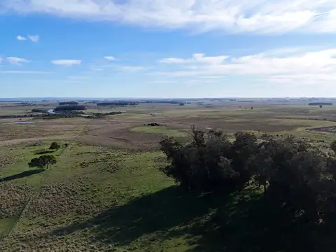 Campo en venta de 24 ha en ruta 10 las Garzas Rocha Uruguay