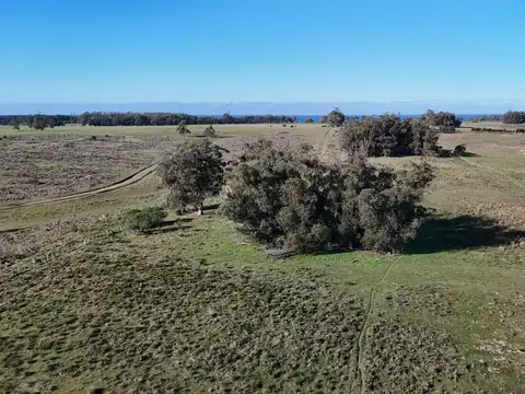 Campo en venta de 24 ha en ruta 10 las Garzas Rocha Uruguay