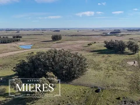 Campo en venta de 24 ha en ruta 10 las Garzas Rocha Uruguay