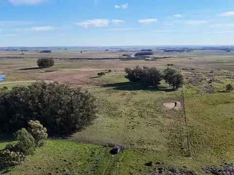 Campo en venta de 24 ha en ruta 10 las Garzas Rocha Uruguay