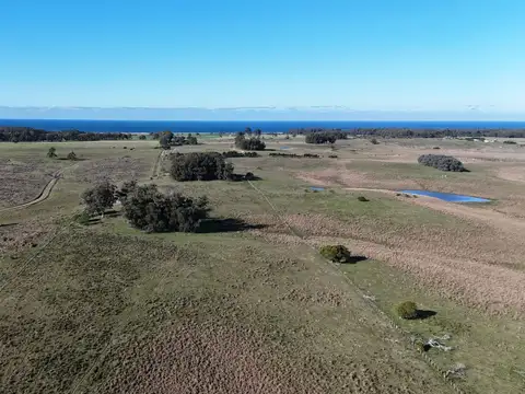 Campo en venta de 24 ha en ruta 10 las Garzas Rocha Uruguay
