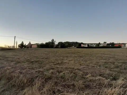 Las Grindelias, Las Lavandas y, B8168, Provincia de Buenos Aires, 100