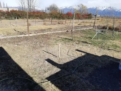 Terreno en Venta de 8000,0 m2