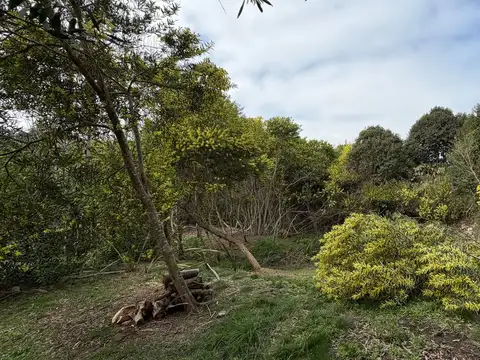 Lote de 720 m2 en venta en el Barrio San Vicente 100
