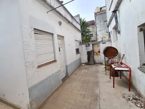 Gobernador Dnull Amico 1000