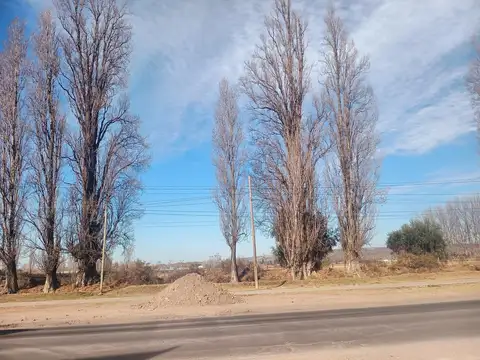 San Martin