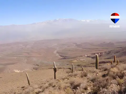 VENTA FINCA 4700HA RUTA PROVINCIAL 40 CACHI