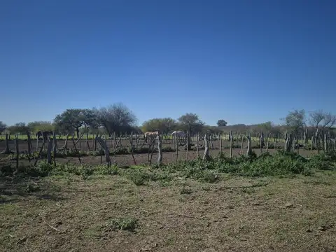 Campo en Pavon
