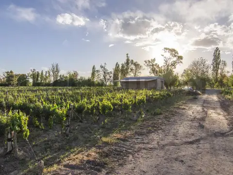 RUTA 15 KM 34 , Piso 0