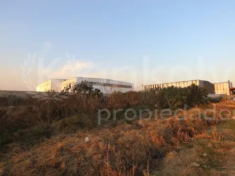 SEBASTIAN ELCANO 1200