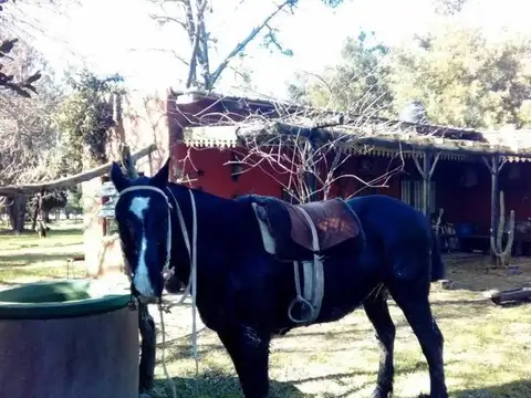 CAMPO DE 21has DE ALVAREZ JONTE, PUNTA INDIO
