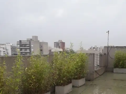 Santa Fe 800, Piso 1