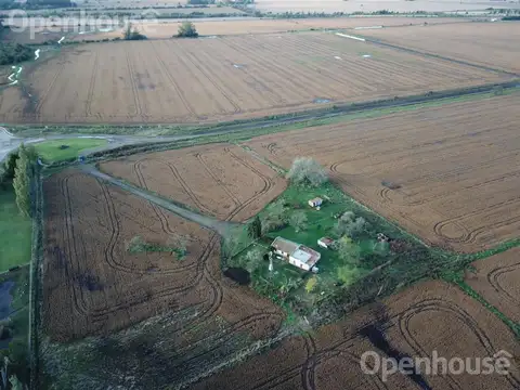 Ruta 8 Km 91, Diego Gaynor