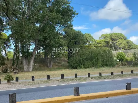 Terreno en Venta de 1000,0 m2