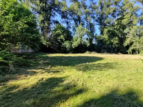 Lote de 10x26 en Zona Arbolada de La Reja – Cerca de la Estación