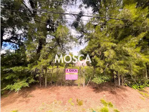 Terreno en Venta 10  mts Frente