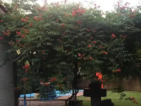 Ramirez 803